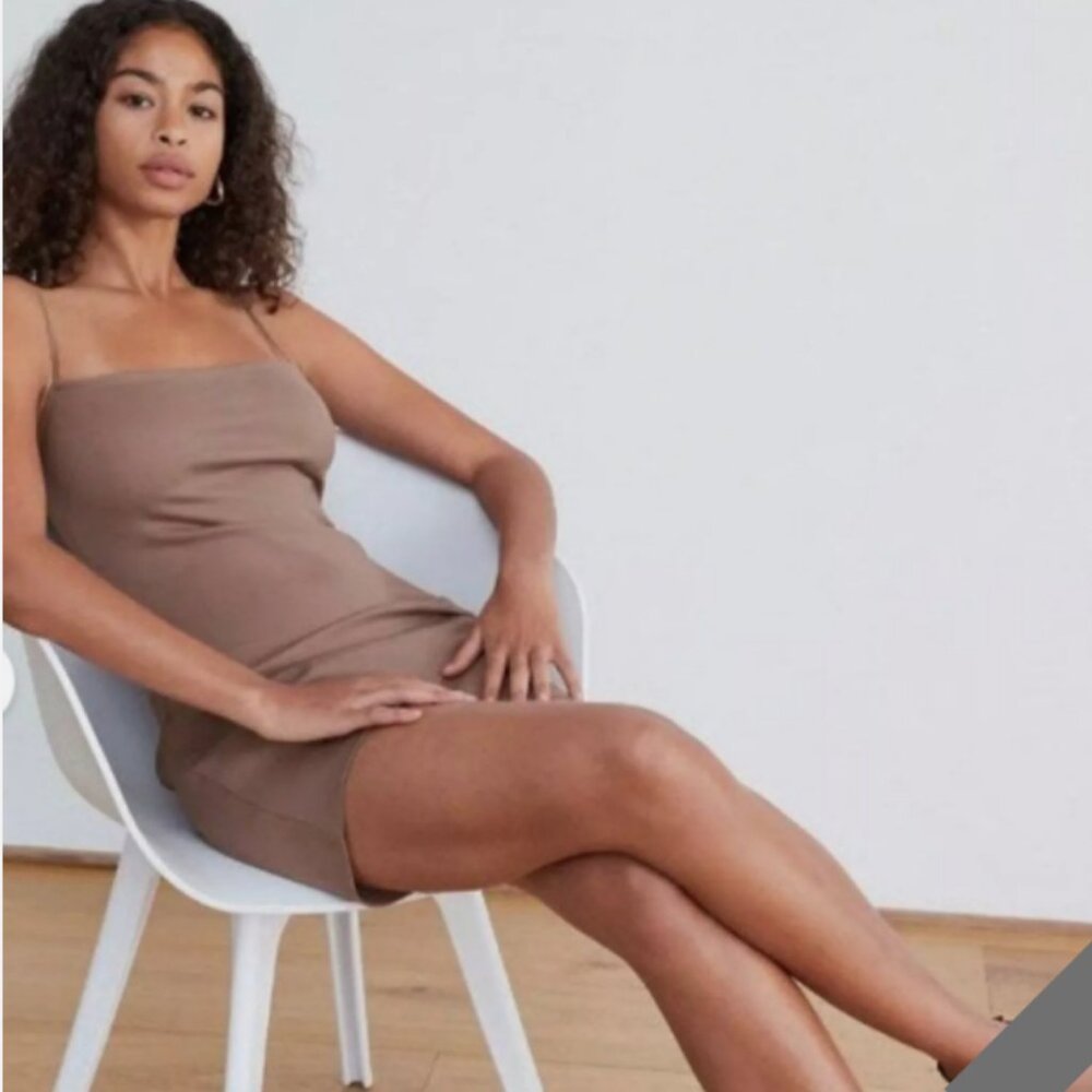 NWT! Brown Babaton Aritzia Tube Dress size 2